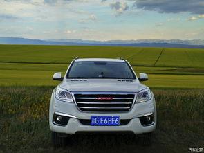 故意抹黑国产车视频,真相与偏见