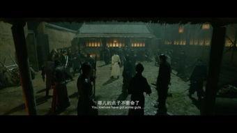 国产武打电影骗局视频,视频揭露幕后真相