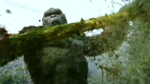 盘点国产十大巨兽视频