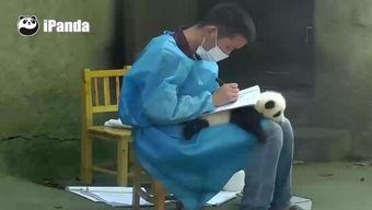 国产小受视频,青春校园的甜蜜演绎