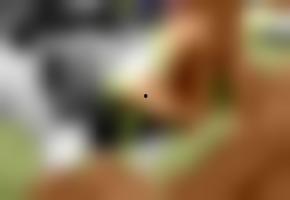 国产系列在线欧美视频,探索异域风情，畅享视听盛宴