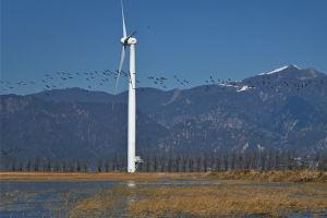 国产20区视频,探索中国影视新天地