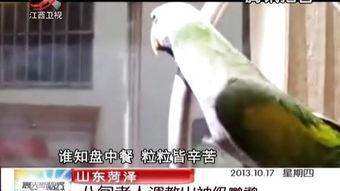 国产女王s调教男奴视频