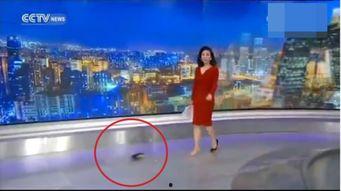 国产高跟鞋女主播视频,国产短视频中的独特风采