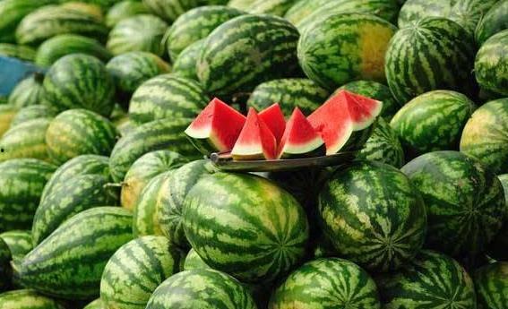 国产西瓜品种与识别视频,视频教你轻松识别