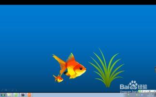金鱼动画片视频推荐国产,金鱼动画片的奇幻之旅